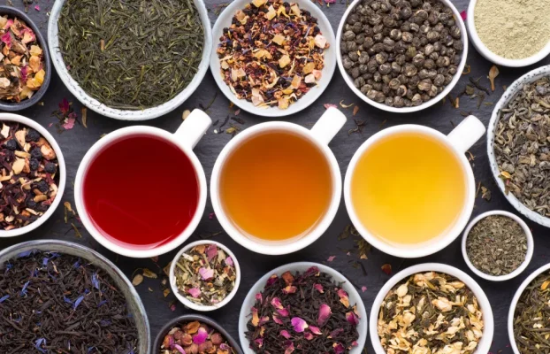 Which Tea To Help Focus? Common Myths When Drinking Tea